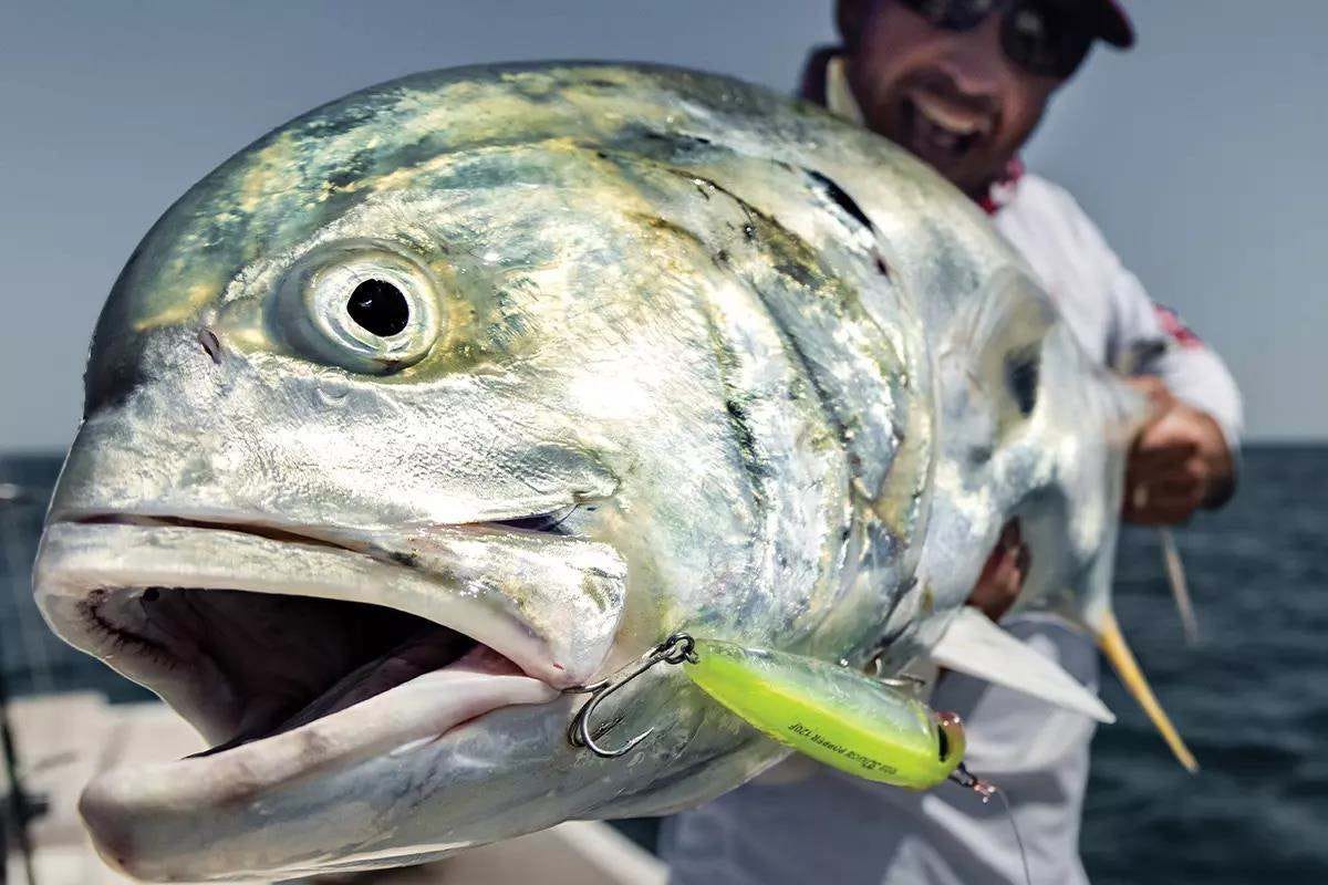 Challenge Your Tackle and Mettle Against Fierce Jack Crevalles