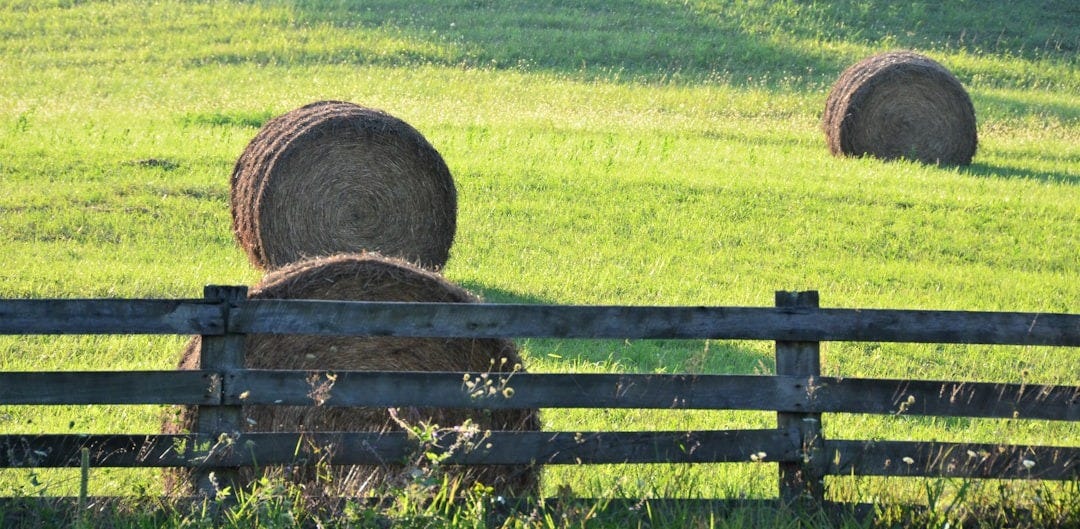 a couple of hay bales sitting on top of a lush green field