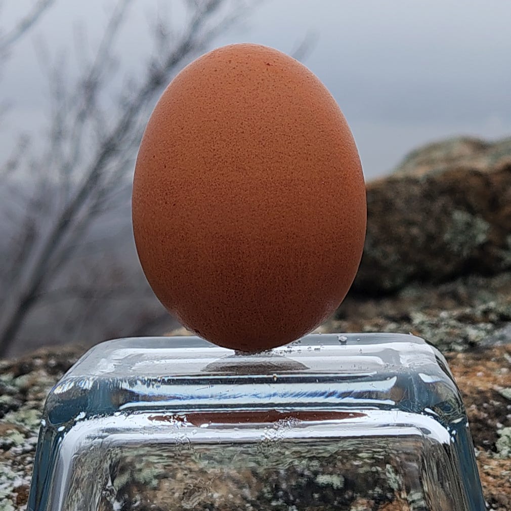 Immigration Law Explained