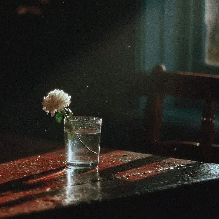 Petals and Teeth