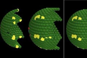 Computer-generated image showing how cells in the human colon renew and organize over time, based on mathematical modeling.