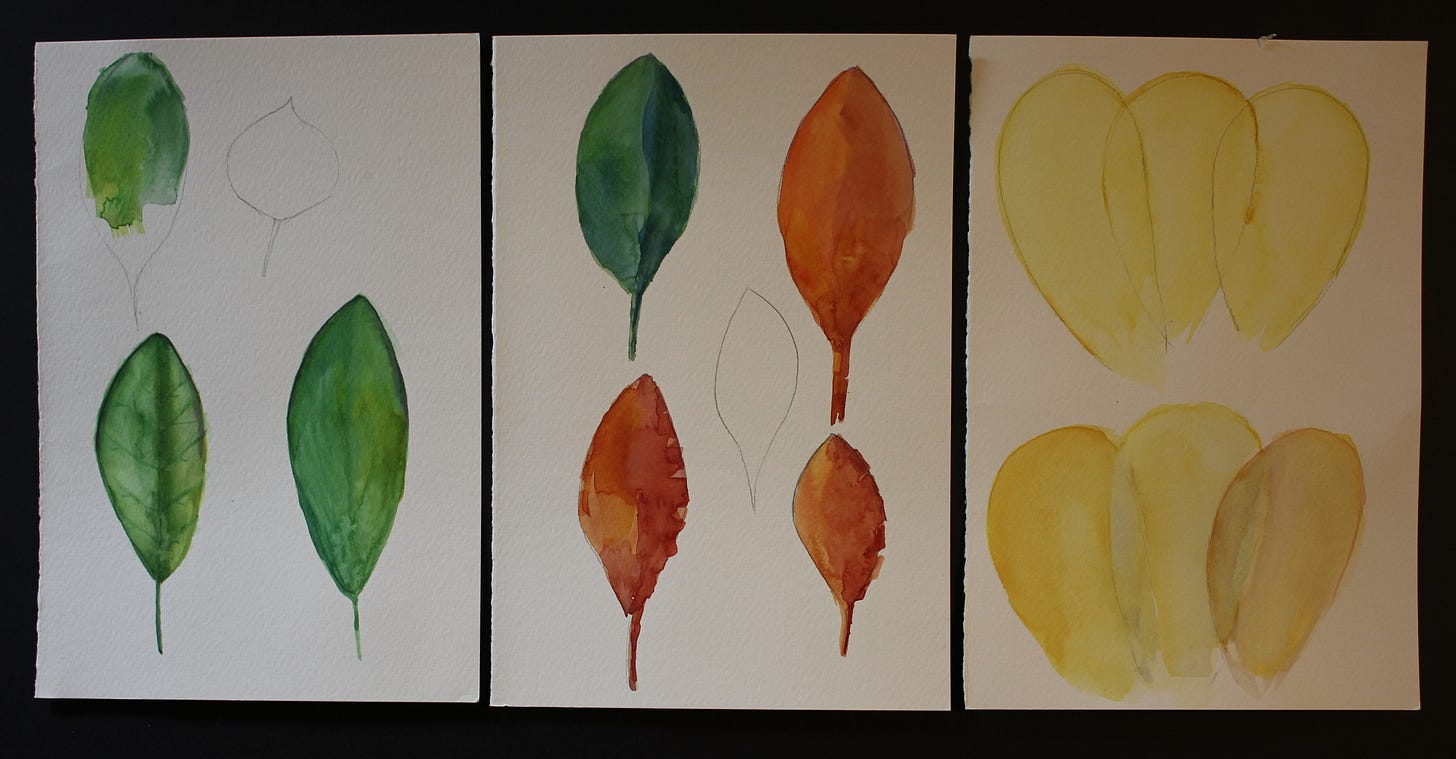 Watercolor practice sheet with painted leaves in green, orange, and yellow, exploring petal and foliage color blending.