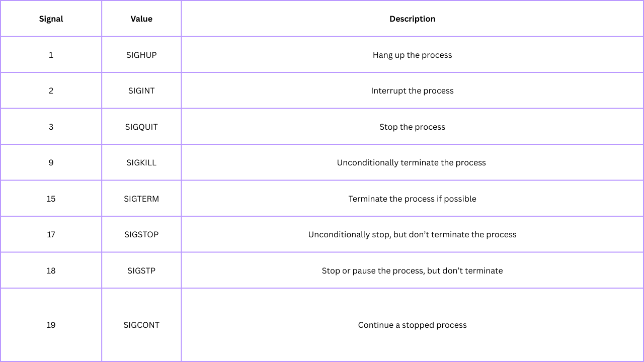 Practical guide: Bash scripting basic guide part ten for beginner