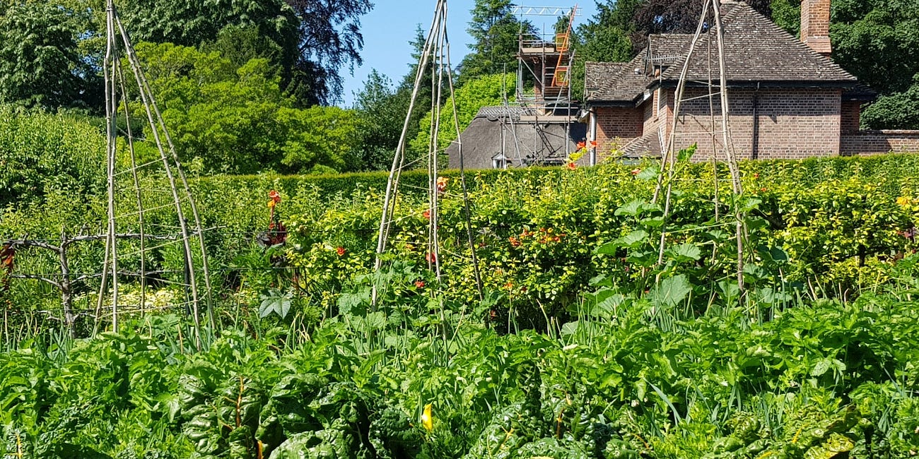 Rotating crops: don't bother