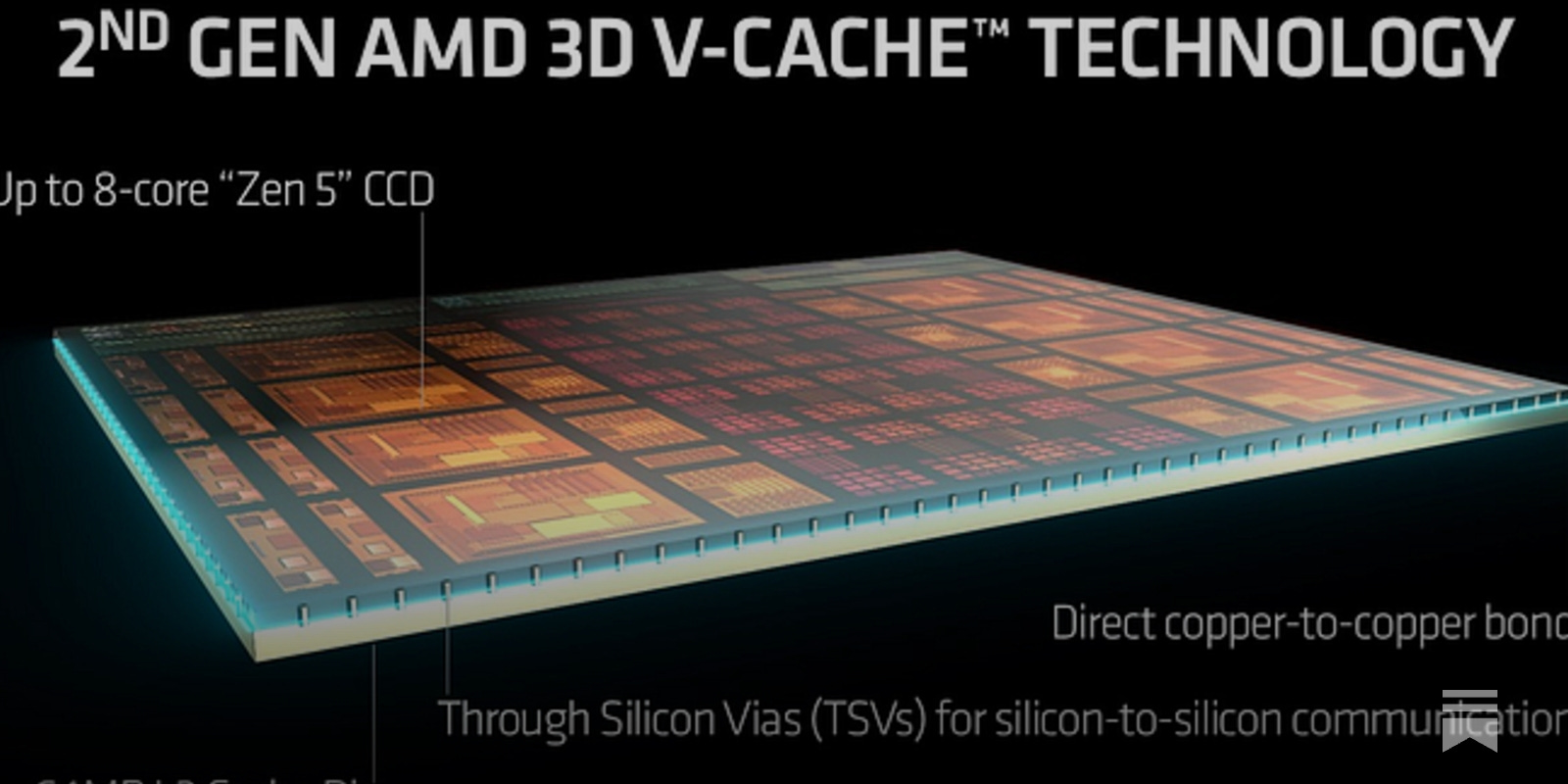 twitter.jpg?version=4