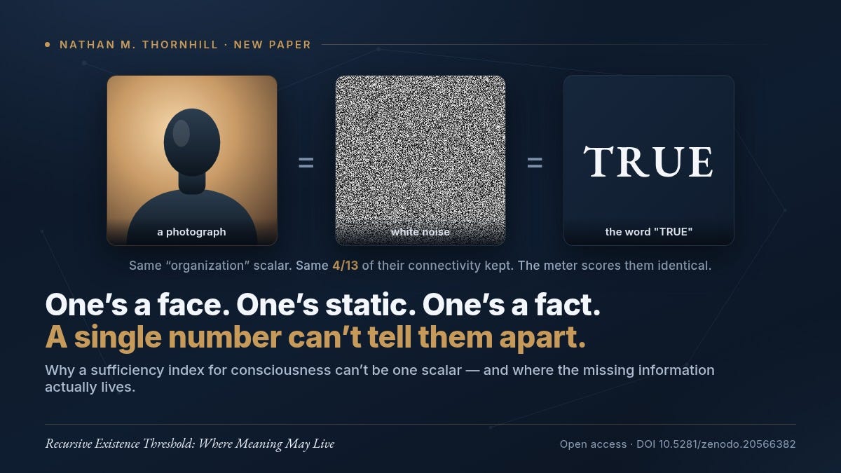 Three tiles: a portrait, TV static, and the word TRUE, joined by equals signs. They score identical on the single-number consciousness meter. Three tiles: a portrait, TV static, and the word TRUE, joined by equals signs. They score identical on the single-number consciousness meter.