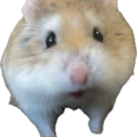 Writings of a college student