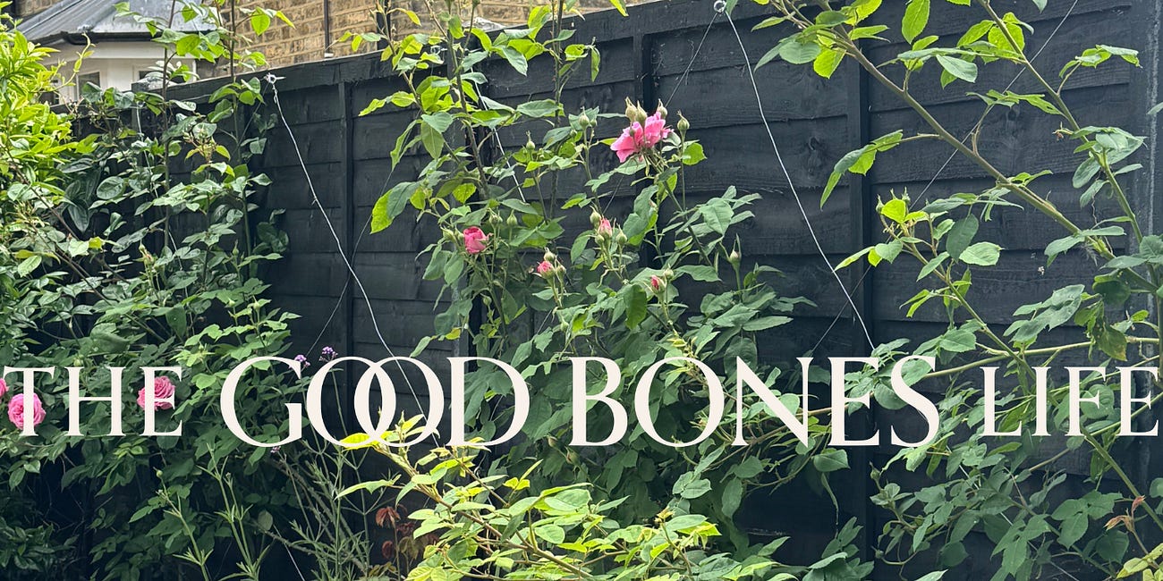 How to Make a Wire Trellis 