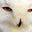 Will Whitman's avatar