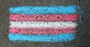 Trans Athletes Are Protected Under Law ...
