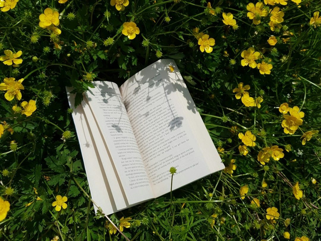 white book on yellow flowers