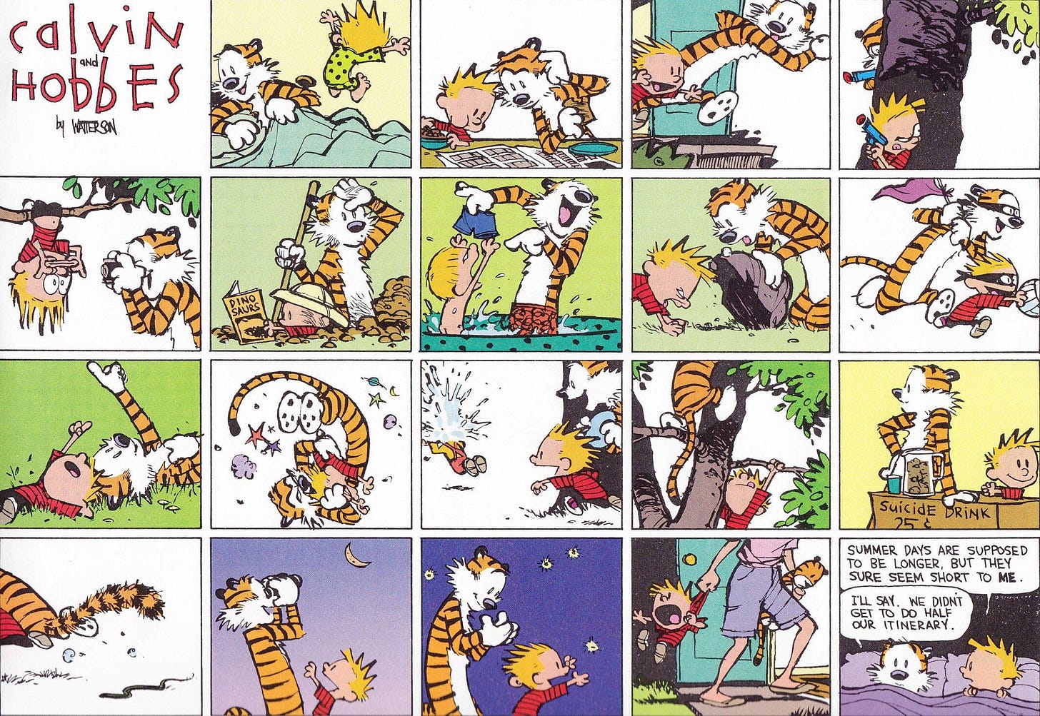 Summer... : calvinandhobbes