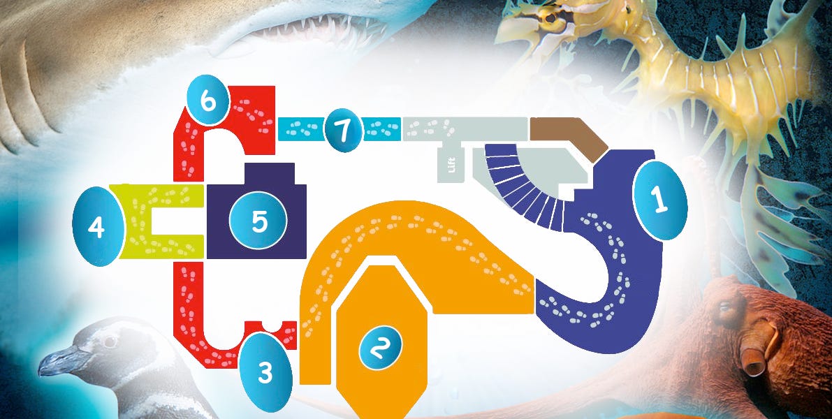 The Only Aquarium Map You'll Ever Need - by Greg Nix