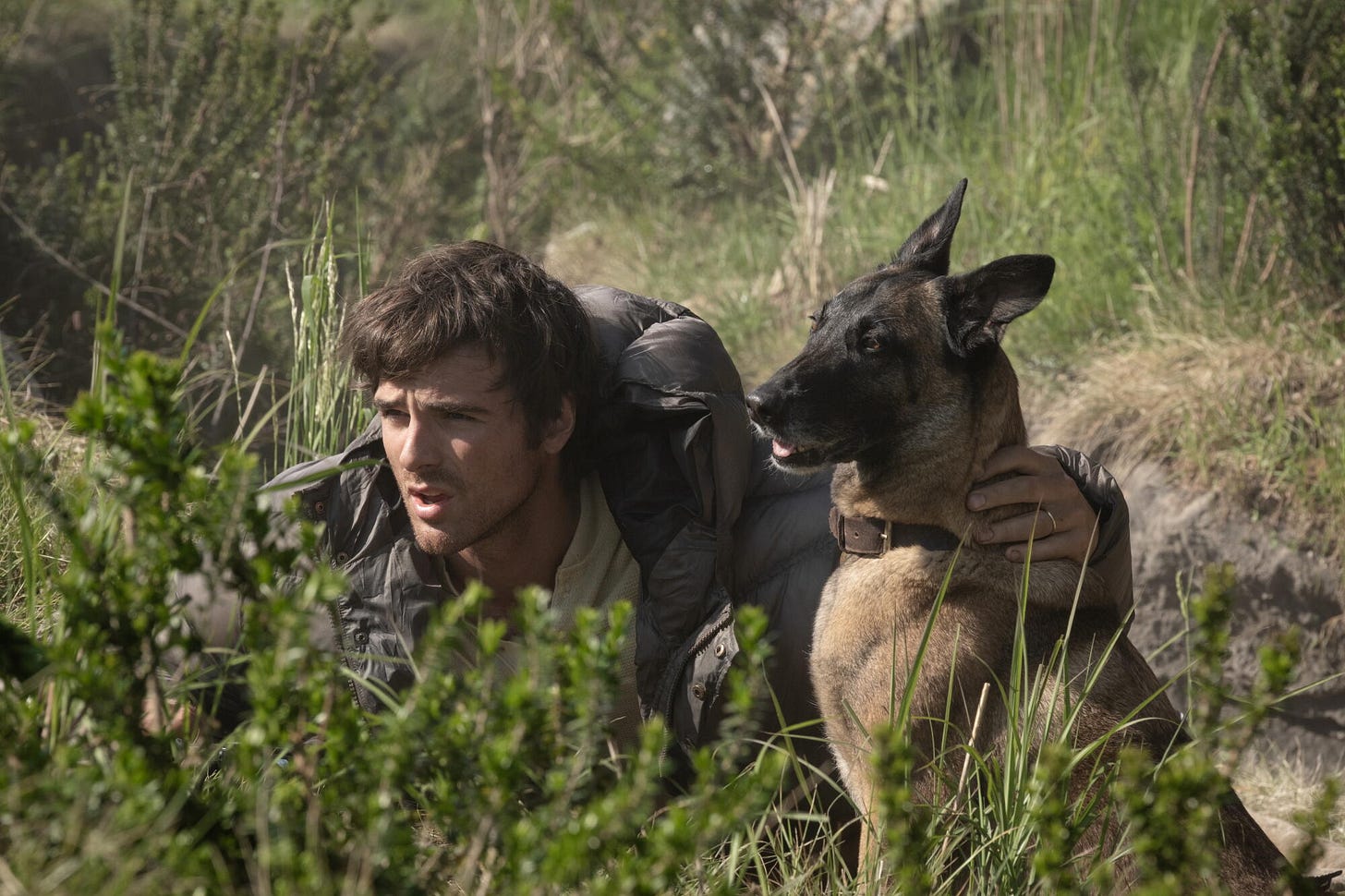 The Dog Stars' review: It's hard to sit up and stay interested - Los Angeles Times The Dog Stars' review: It's hard to sit up and stay interested - Los Angeles Times