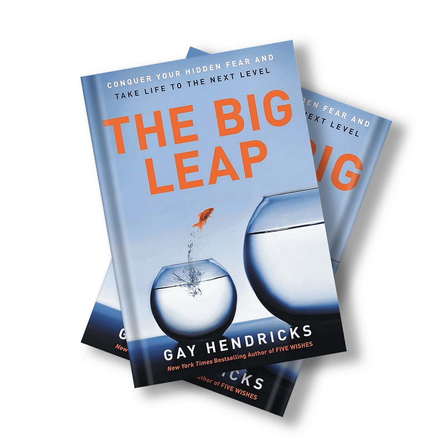 Unveiling Key Insights: The Big Leap Book Summary | Wellsquire.com