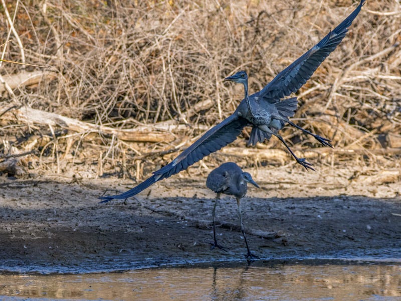 20251103-ElRio-544-Edit.jpg 20251103-ElRio-544-Edit.jpg