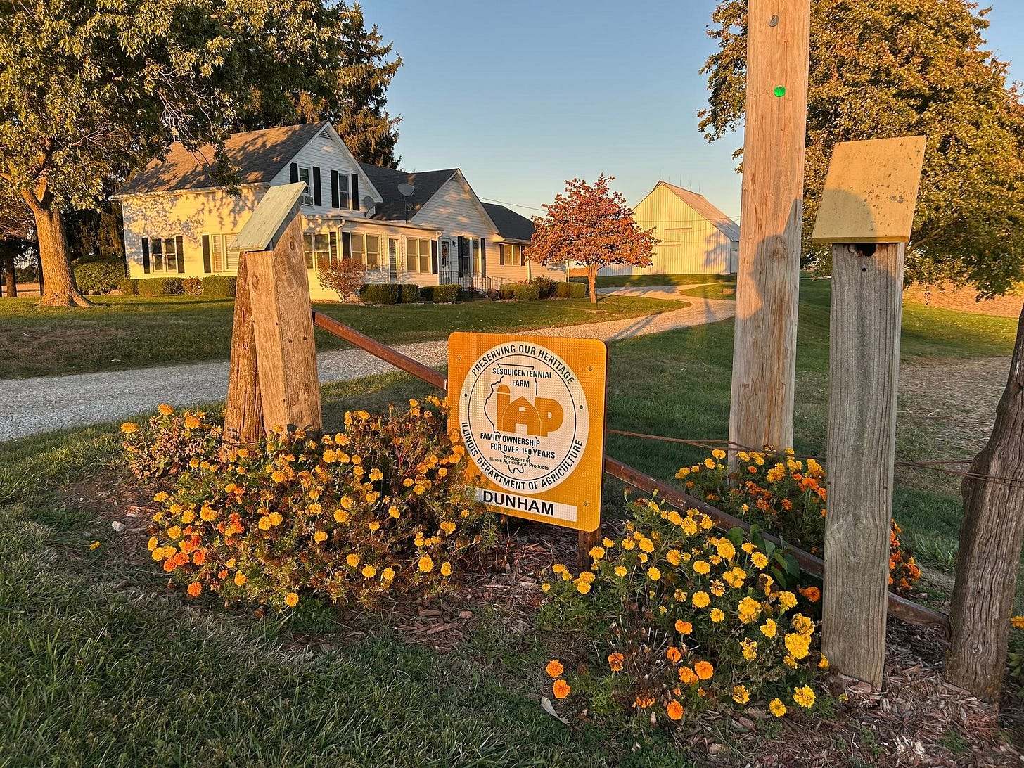 May be an image of text