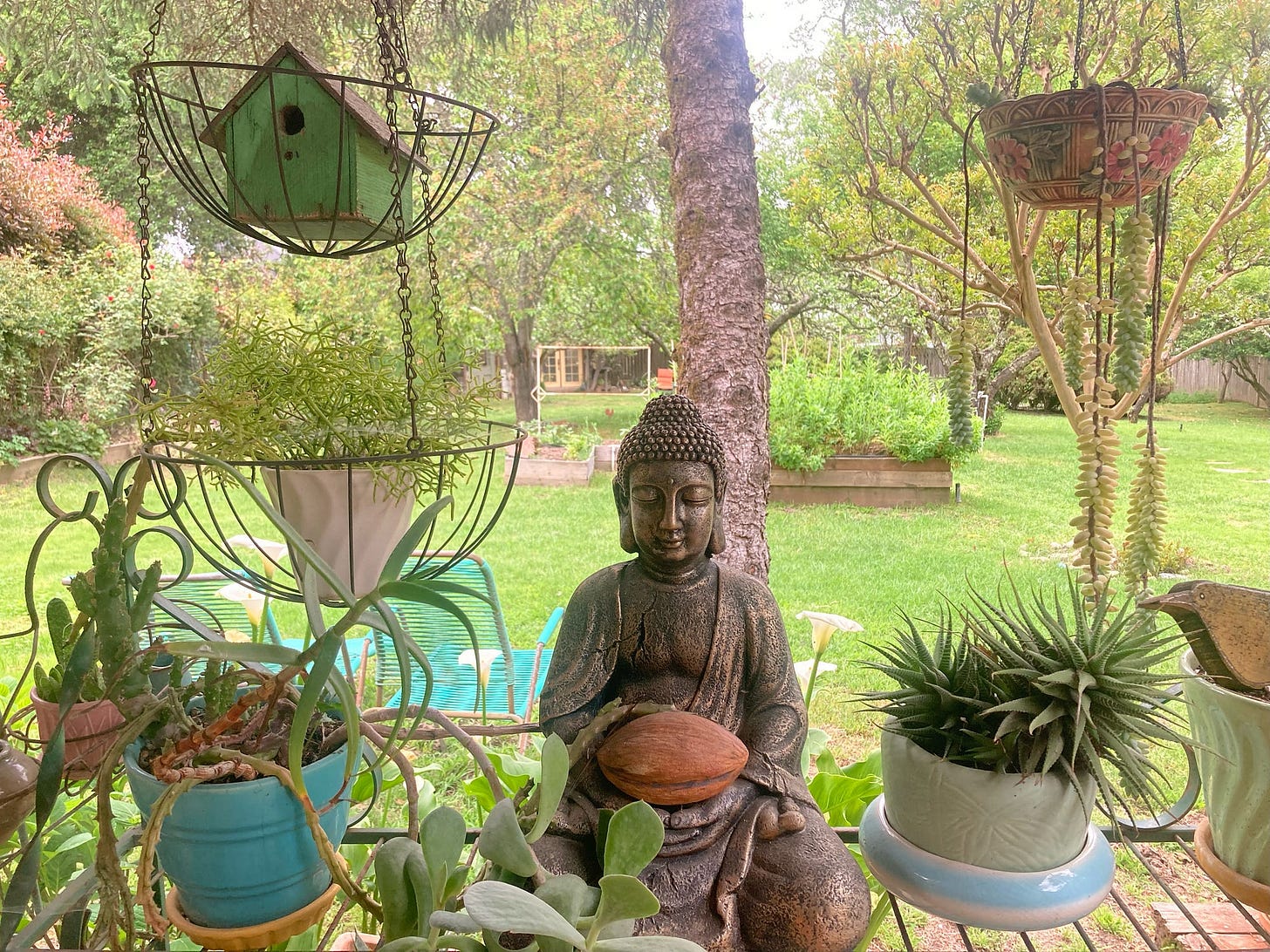 A beautiful sanctuary of statuary and plants in a backyard