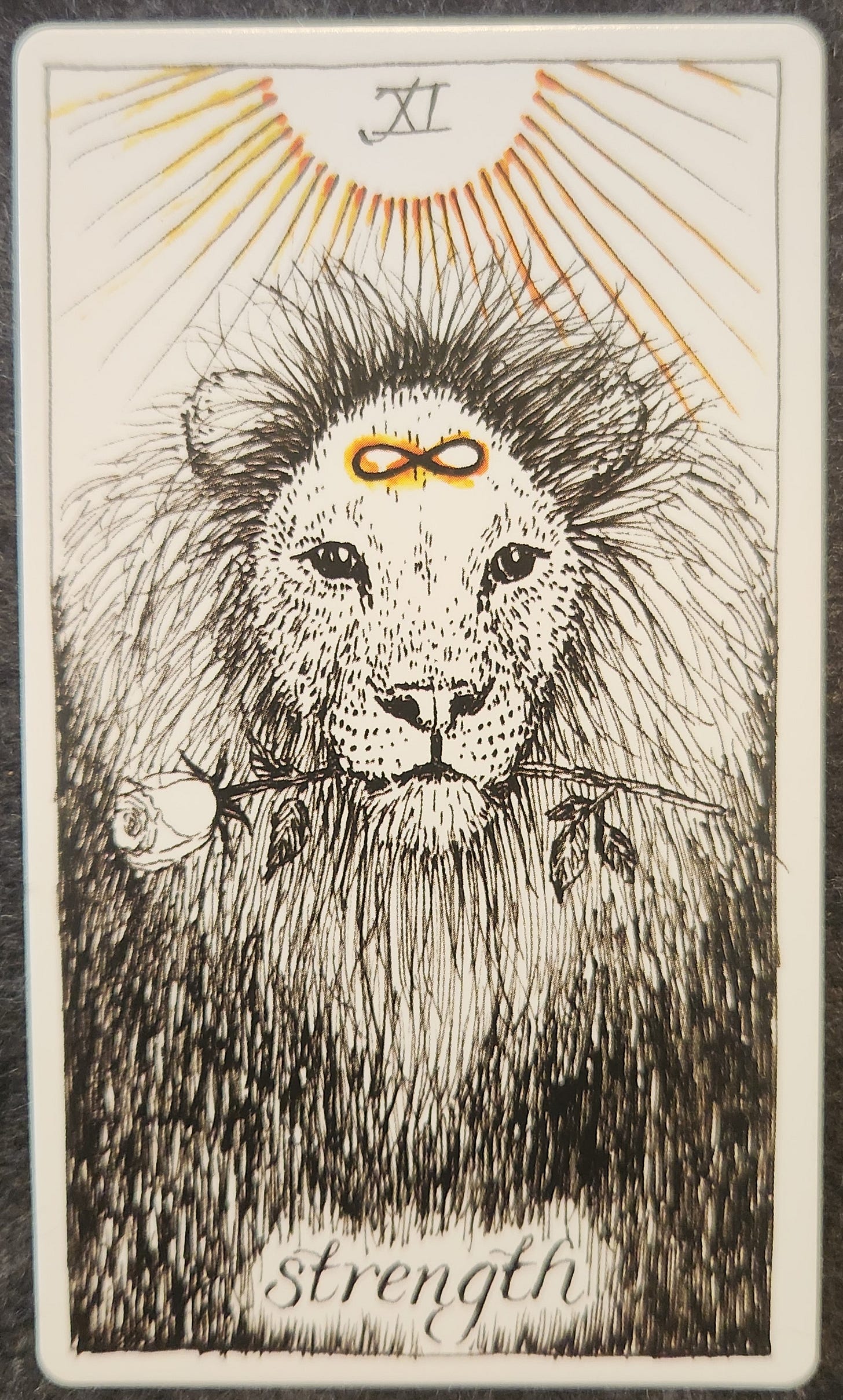 A tarot card labelled XI Strength. A lion is looking directly forward. It is holding a single rose in its mouth. On its forehead is an infinity symbol, etched in orange and yellow. Above is a full sun shining down on them.