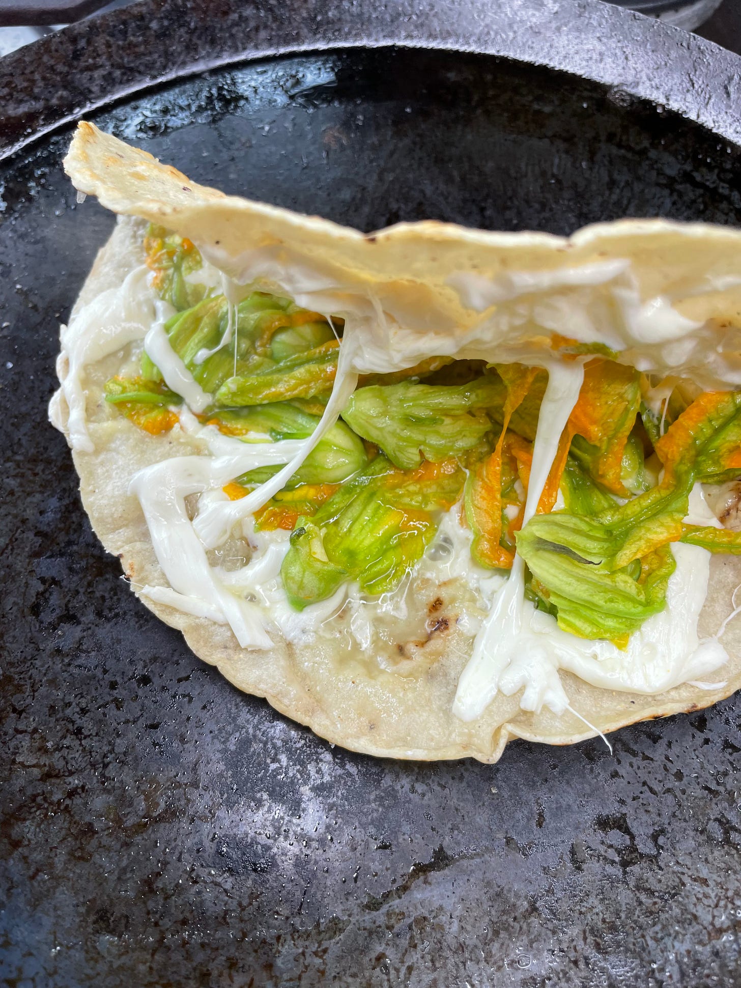 The melty interior of a squash blossom quesadilla.