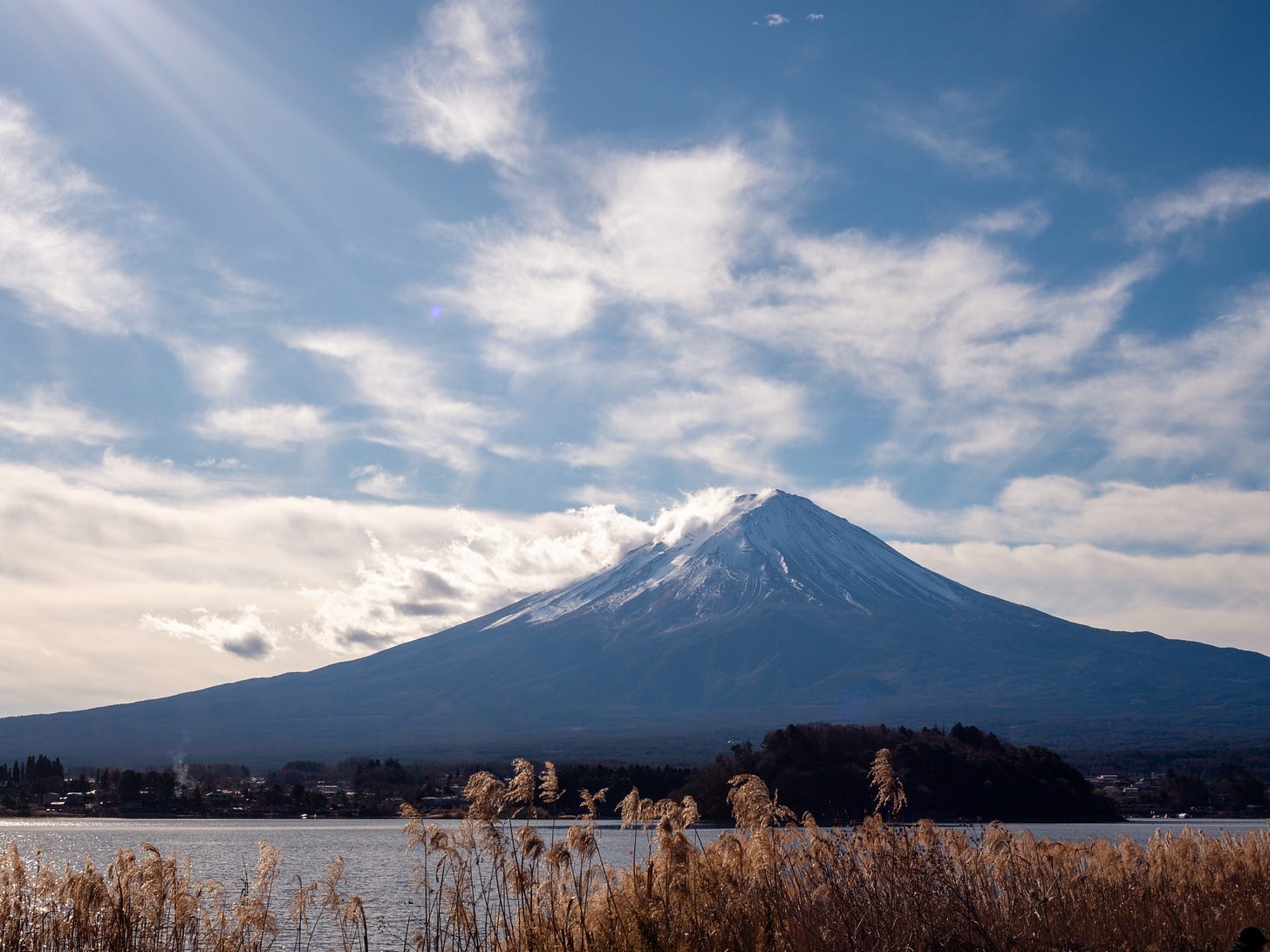 Mt. Fuji framed by pampa grass