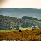 Wind War: 'Wills & Harry's ex-nanny Tiggy Legge-Bourke's family locked in furious row with neighbours over plan to make £1M-a-yr by blighting beautiful Welsh hills with 36 x 700ft monstrous turbines'