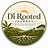Di Rooted Journey