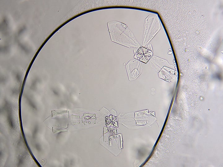 More 'Things' in urine samples