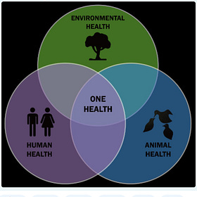 Dr. Yeadon Comments on 'God Help US' by James Roguski