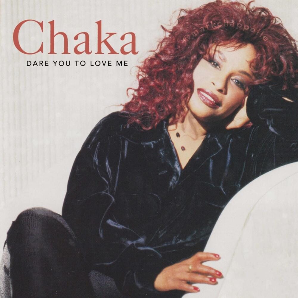 Chaka Khan The Woman I Am レコード CHAKA KHAN / THE WOMAN I AM – VINYL CHAMBER