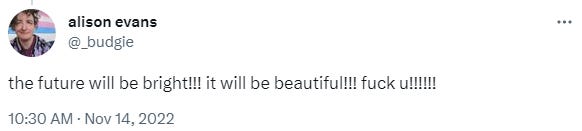 a tweet from me, handle @_budgie. Text reads: the future will be bright!!! it will be beautiful!!! fuck u!!!!!!