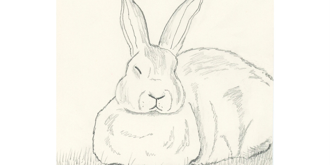 Rabbits, Resting