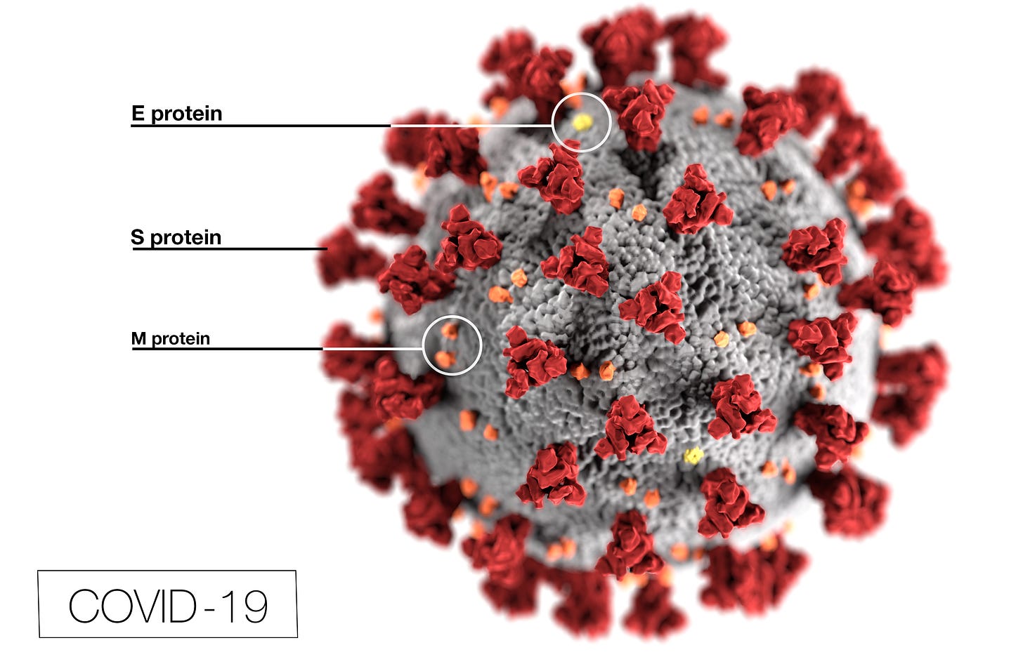 Image Library | CDC Online Newsroom | CDC