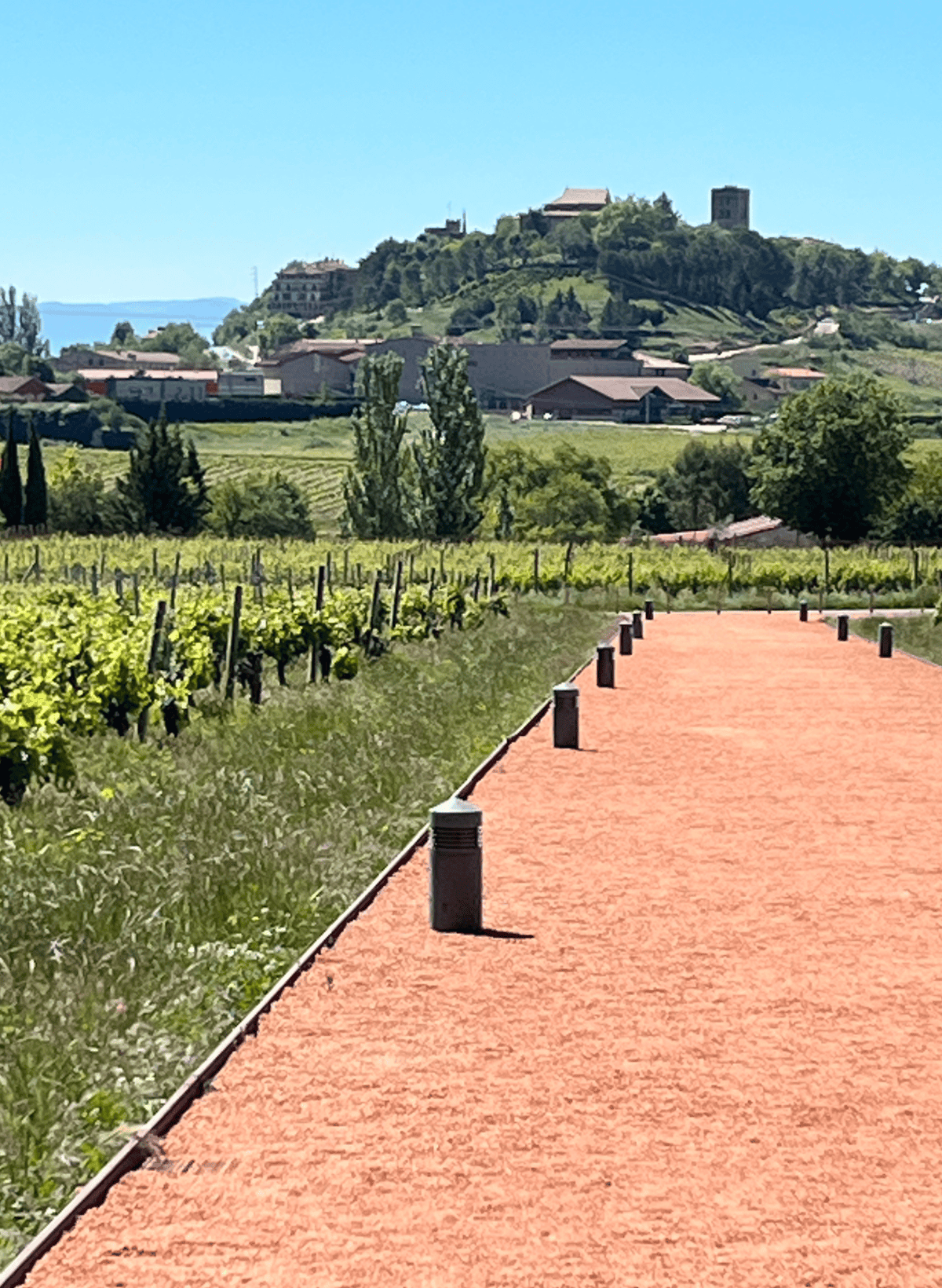 View of the hilltop village of La Guardia, Spain View of the hilltop village of La Guardia, Spain