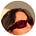 Lucky Lieu 🥮's avatar
