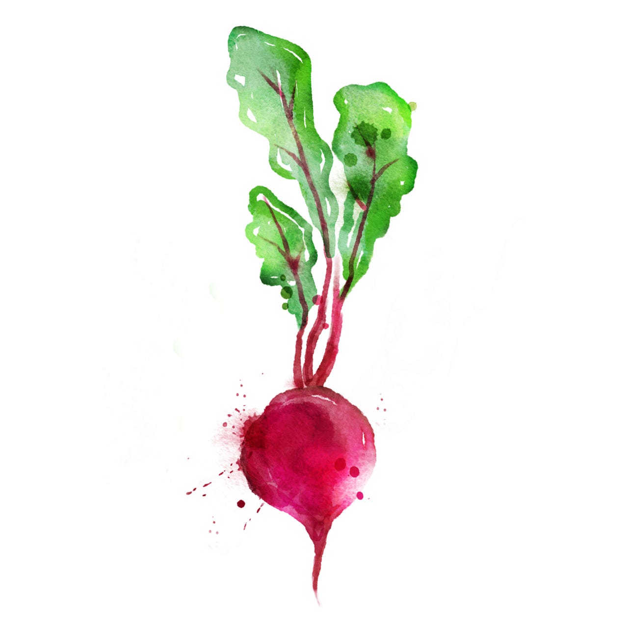 CJ's Fresh Approach to Eating Well