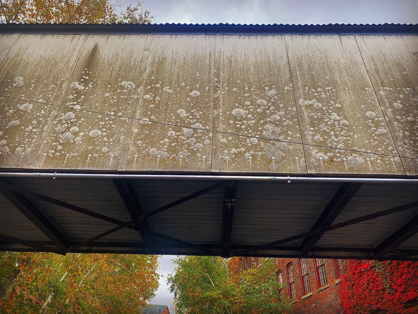 a wedding trip to MASS MOCA. For more: https://www.instagram.com/jakehirschallen/ a wedding trip to MASS MOCA. For more: https://www.instagram.com/jakehirschallen/