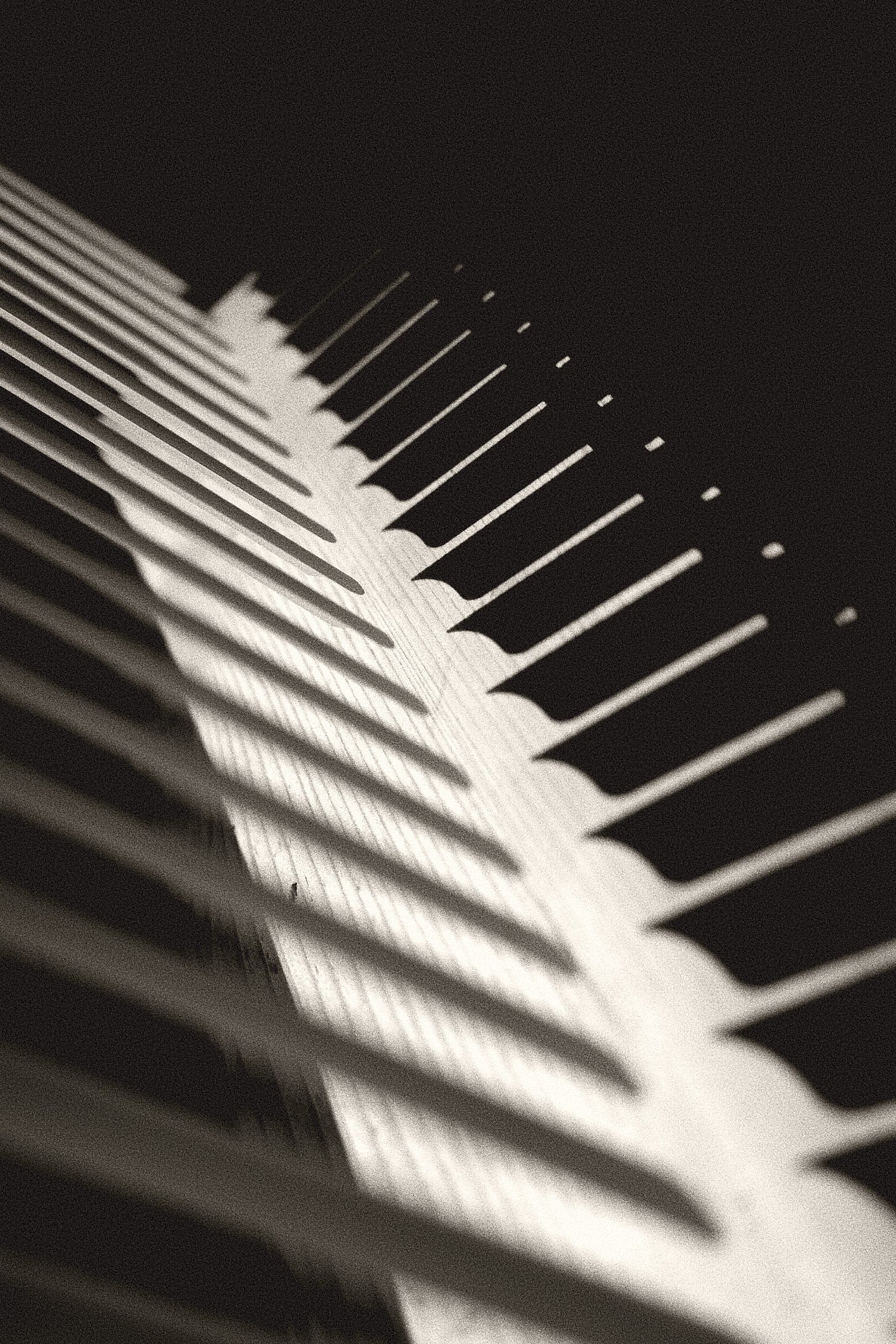 Blinds 