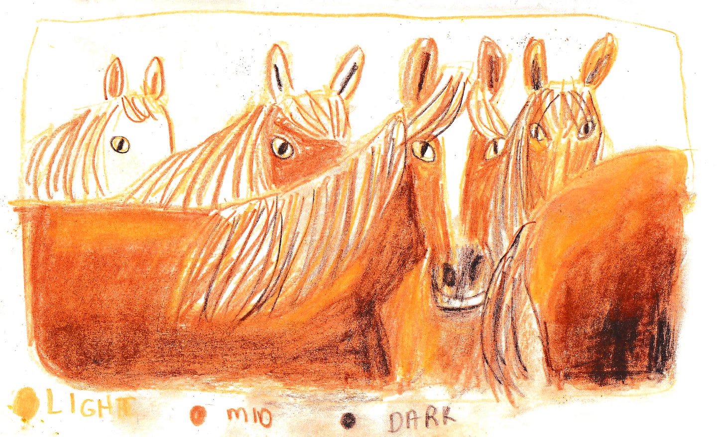 horses illustrated by Beth Spencer