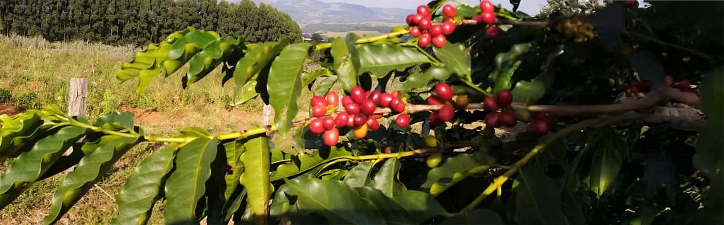 Os pesquisadores do Cepagri observam que a partir de agora haverá um trabalho de formação de multiplicadores
