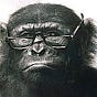 Jeff Syrop's avatar