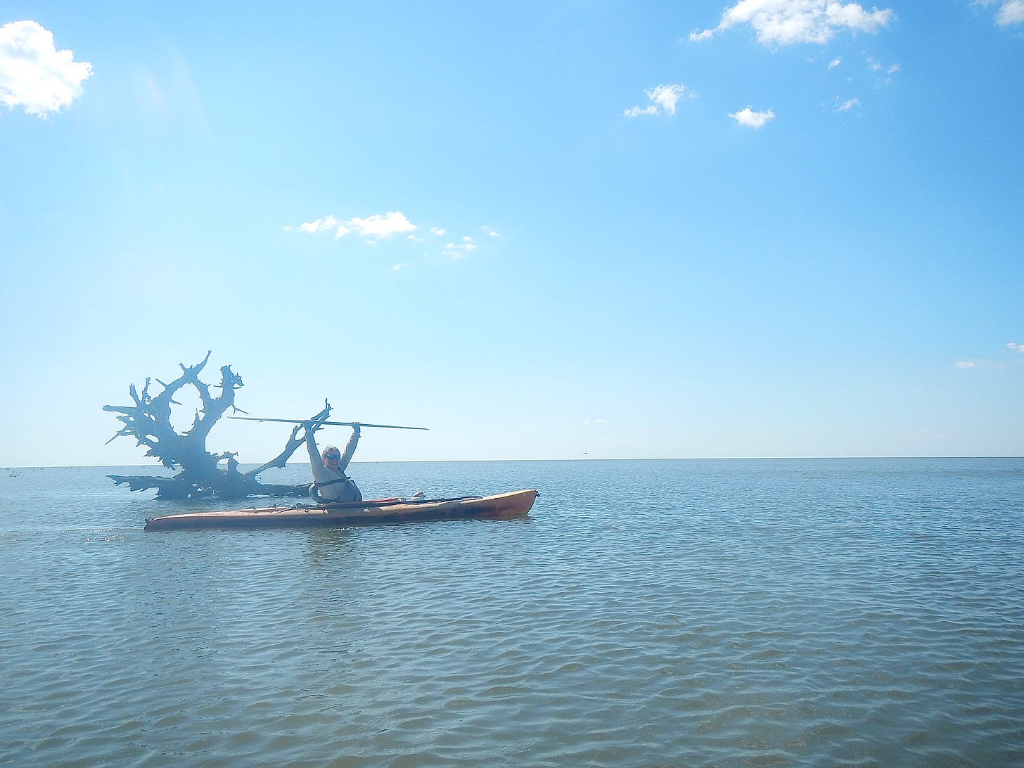 note, the presence of a life jacket.