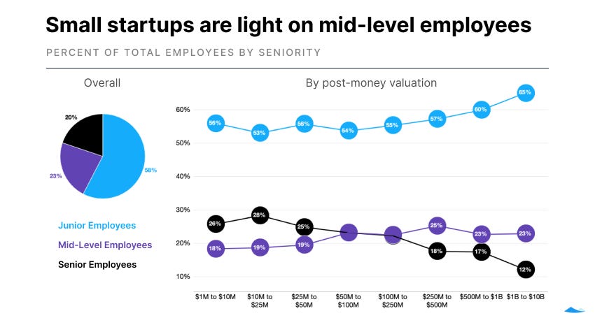 Pie chart and line graph side by side. Both show the percent of employees that are in junior, mid-level, or senior roles. Junior employees are the most common.