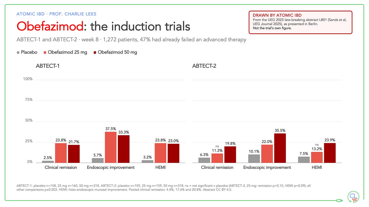 Two grouped bar charts for placebo, obefazimod 25 mg and 50 mg at week 8. ABTECT-1 clinical remission 2.5%, 23.8% and 21.7%. ABTECT-2 clinical remission 6.3%, 11.3% (not significant) and 19.8%. Endoscopic improvement and histo-endoscopic improvement follow the same pattern.