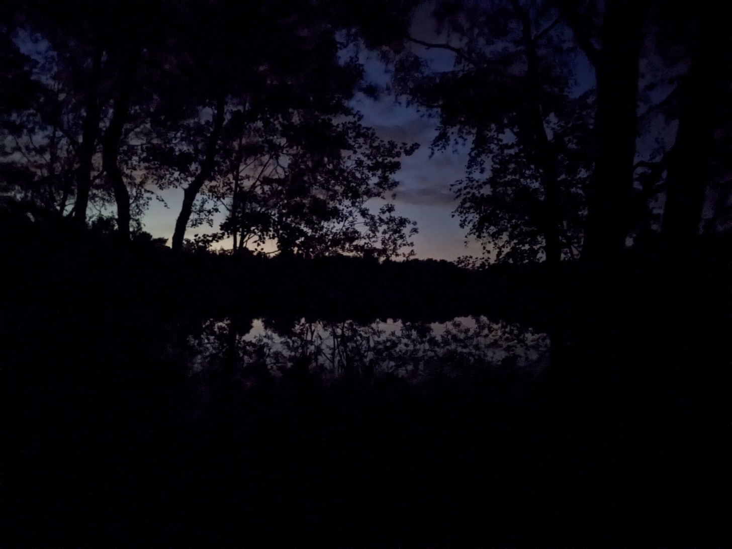 A dark lake reflecting the dusky twilight between shadowy trees