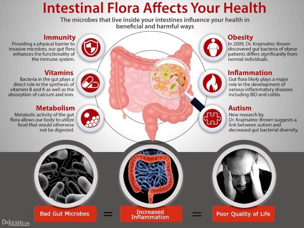 What is the Gut Microbiome Everyone's Talking About? | Muniq What is the Gut Microbiome Everyone's Talking About? | Muniq