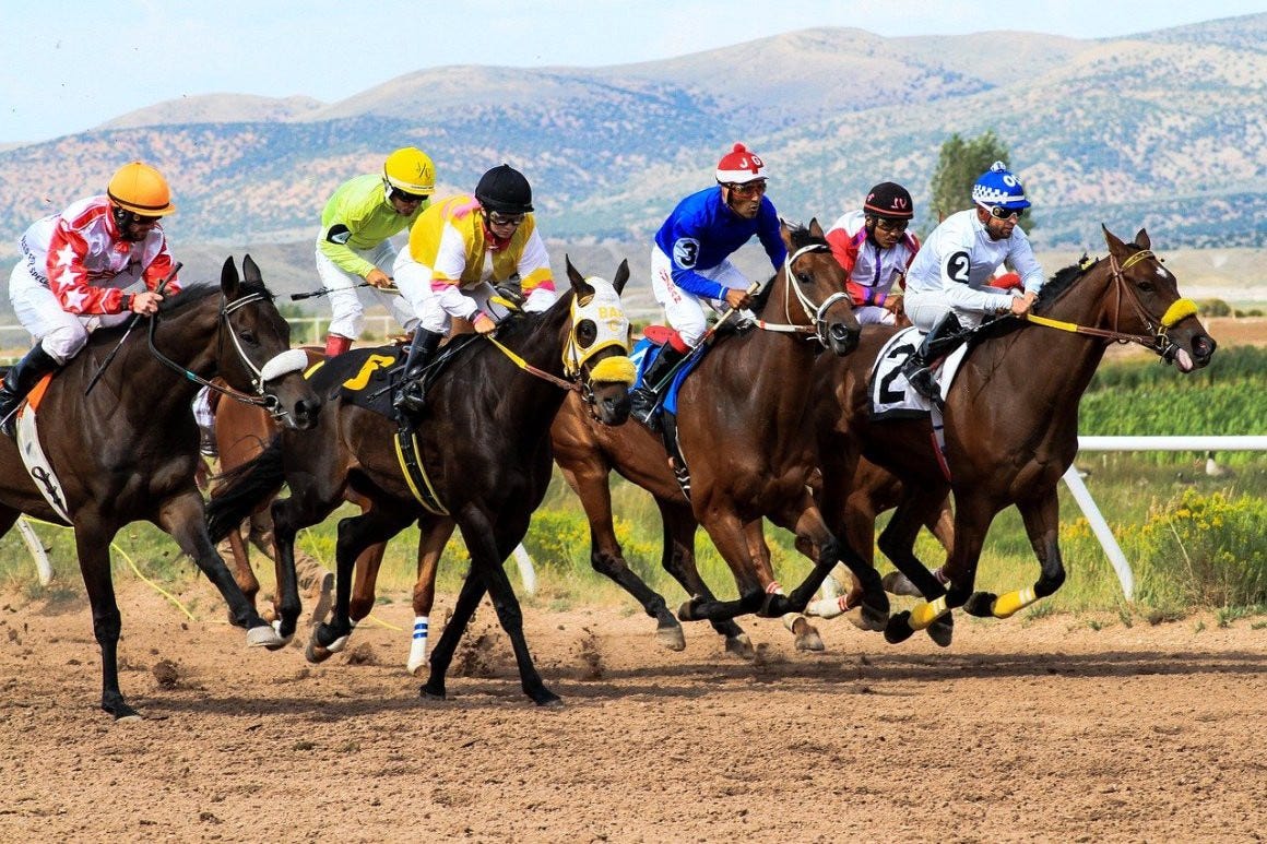 horse racing - sports betting