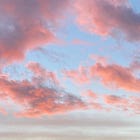 Surprise & Delight: Week 4