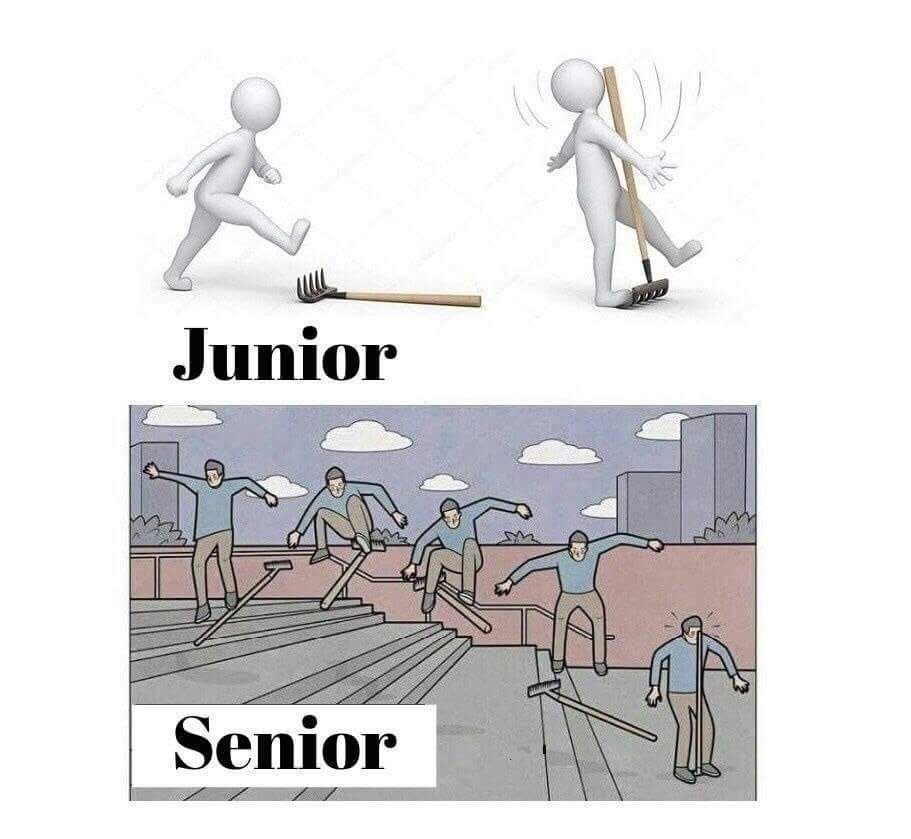 A difference between Junior and Senior #developer #programmer  #softwareenegineer | Funny memes, Memes, Funny pictures