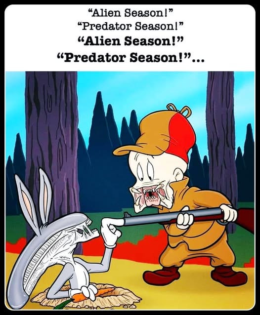 May be an image of text that says '"Alien Season!" "Predator Season!" "Alien Season!" "Predator Season!"... !"... の G060 Nil ዋም mИ M α vAy V'